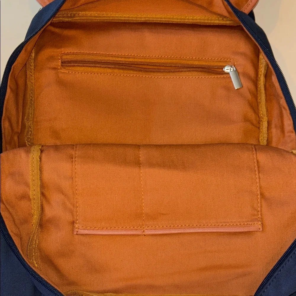Rear Bike Backpack Laptop (Blue) Convertible Double Pannier for Bicycles